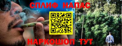 гашик Бугуруслан
