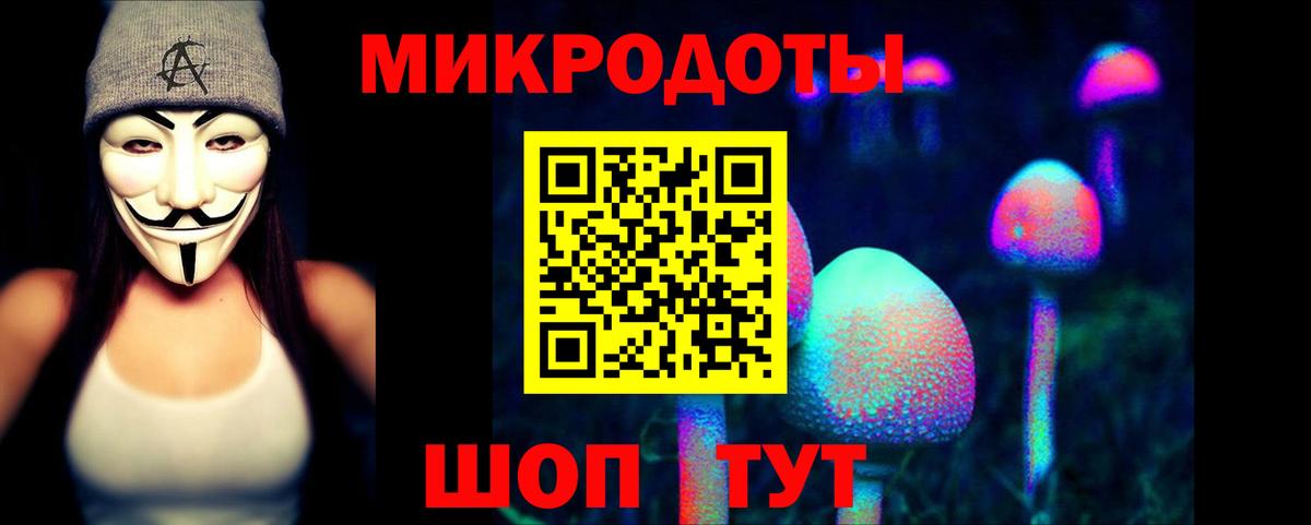где купить наркотик  Псилоцибиновые грибы Psilocybe  Вход с VPN  Михайловск 
